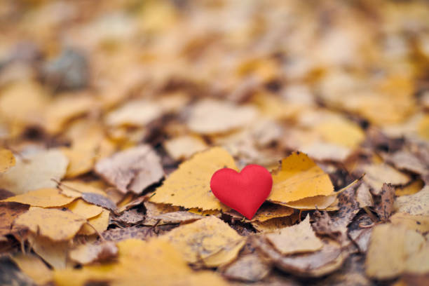 istock Unrequited, one-sided love or loneliness concept. 1208975224