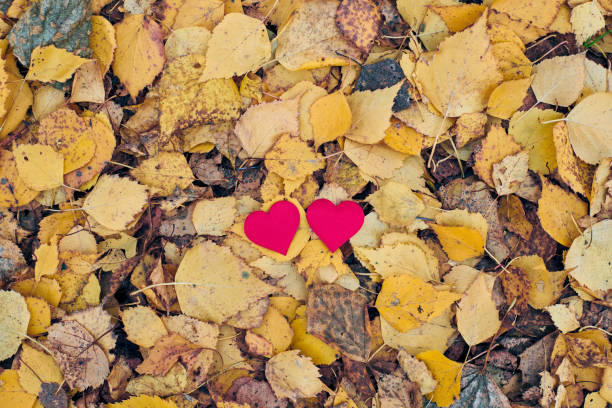 istock Love or friendship concept 1208975460