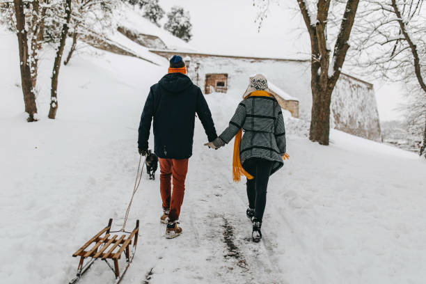 istock Couple in the snow play with dog 1208978424