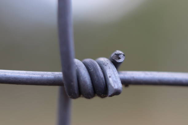 close-up wire fence fence stock photo