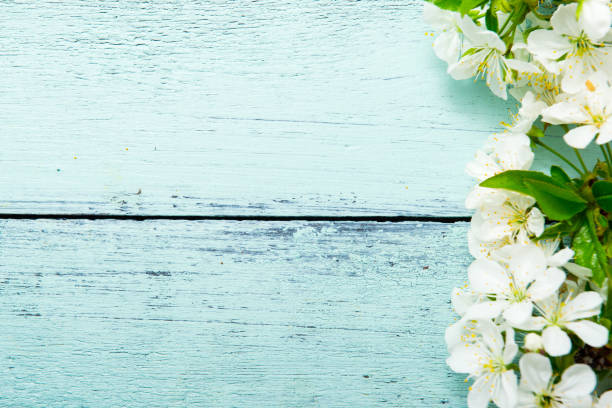 istock Cherry blossom on blue wooden table 1208984728