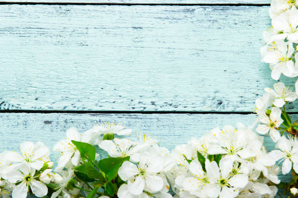 istock Cherry blossom on blue wooden table 1208984732