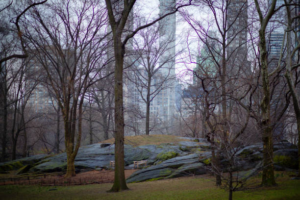 The photo was taken from Central Park in Manhattan in early spring