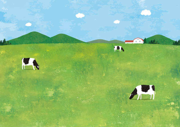 목장 수채화 - mountain pastures stock illustrations