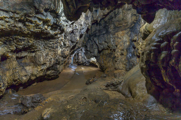 mawsmai cave interior, hermoso puente sobre arroyo, meghalaya, india - rain monsoon rainforest storm fotografías e imágenes de stock