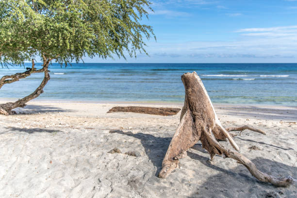 istock Gili Trawangan island 1208992151
