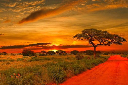 Sunrise and sunset in Tsavo East National Park Tsavo West and Amboseli