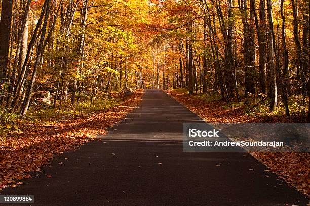 Foto de Cores Do Outono Linha Uma Estrada e mais fotos de stock de Dourado - Descrição de Cor - Dourado - Descrição de Cor, Montanhas Great Smoky, Parque Nacional das Great Smoky Mountains