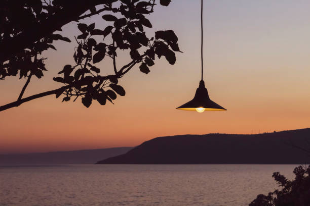 istock Dusk over Greek coastline landscape, light hanging from tree. 1209004993