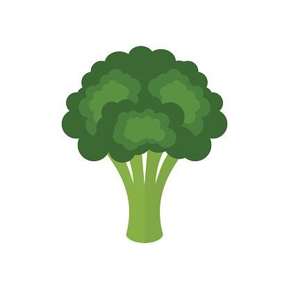 Colorful cartoon broccoli. Healthy food concept. Brassica oleracea var. italica. Vector illustration, flat style, clip art.