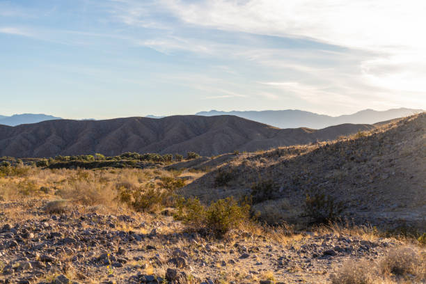 カリフォルニア砂漠の風景 コチェラバレー保護区の冬の終わり - landscaped landscape winter usa ストックフォトと�画像