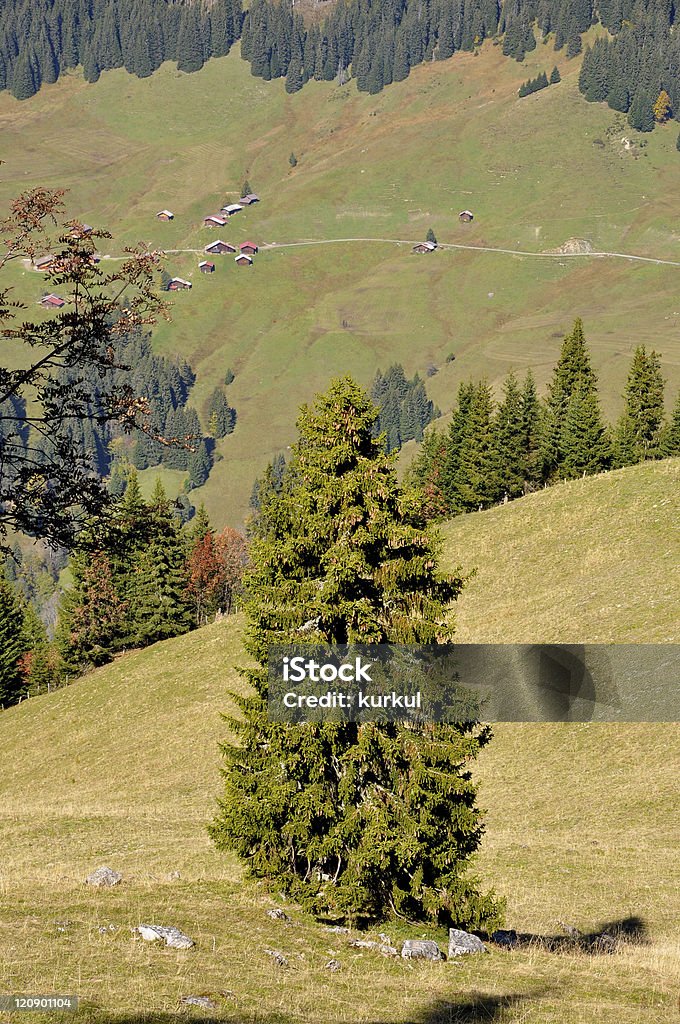 Alpes - Foto de stock de Aire libre libre de derechos