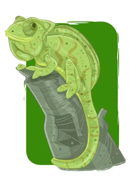 Vector illustration of The Chamaleon