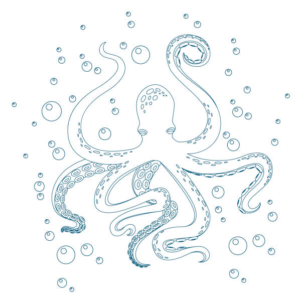 1,570 Octopus Outline Cartoon Illustrations & Clip Art - iStock