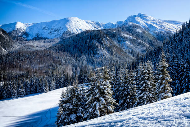 istock Holidays in Poland - Tatra Mountains in winter 1209014691