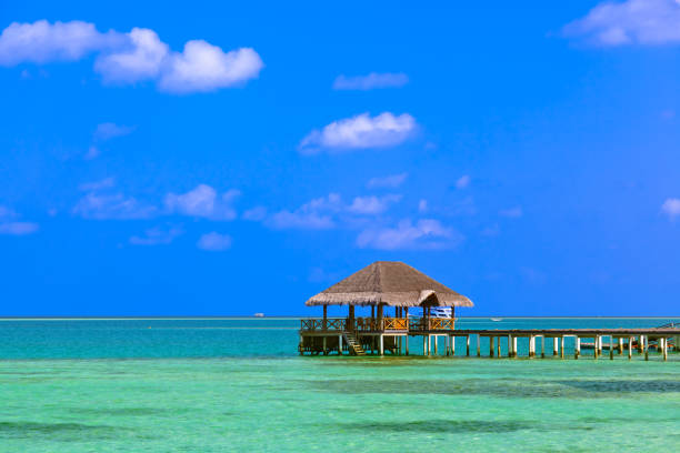 istock Jetty on tropical Maldives island 1209014738