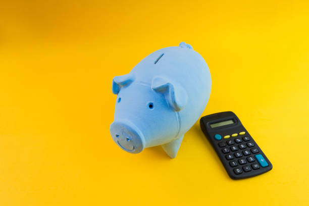istock Piggy coins with calculator and dollars isolated 1209015041