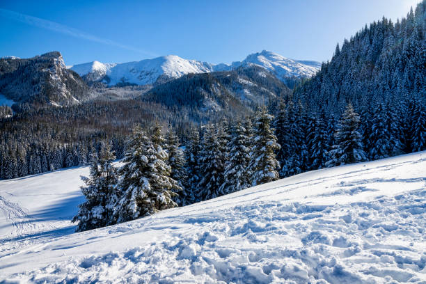 istock Holidays in Poland - Tatra Mountains in winter 1209016031