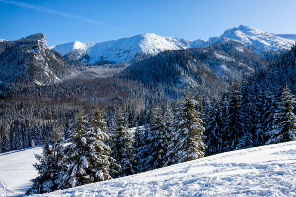 istock Holidays in Poland - Tatra Mountains in winter 1209016370
