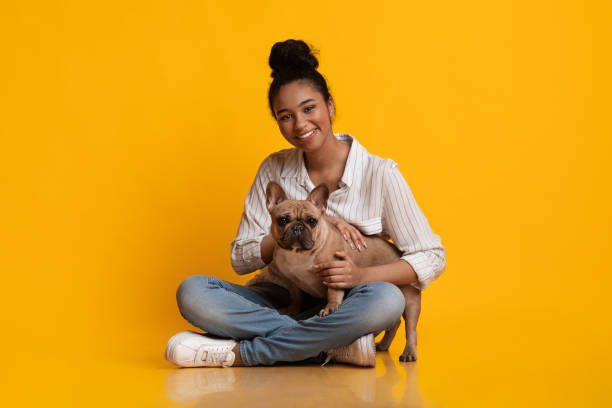 garota negra feliz sentada junto com seu cachorro buldogue francês - groping - fotografias e filmes do acervo