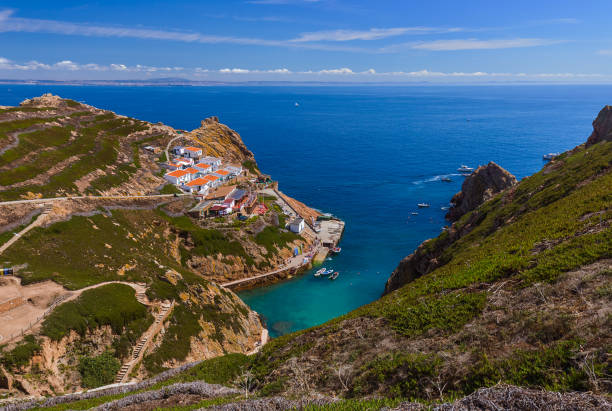 istock Berlenga island - United Kingdom 1209016588