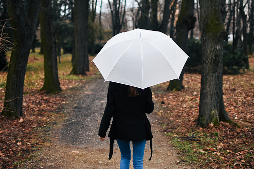 Women, Rain, Umbrella, One Woman Only, Rear View