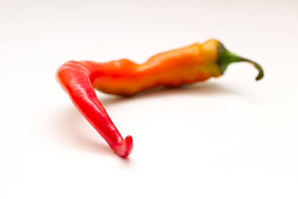 Studio macro of a single chili pepper (Capsicum) transitioning from green to orange, isolated on a pure white background with a clean mirror-like reflection. The smooth color gradient and minimal composition emphasize freshness, heat, and the natural ripening process, leaving generous copy space for design or editorial use. Ideal for topics of cooking, spice, healthy eating, agriculture, and seasonal harvest.
