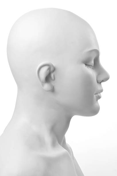 istock beautiful mannequin portrait 120902589