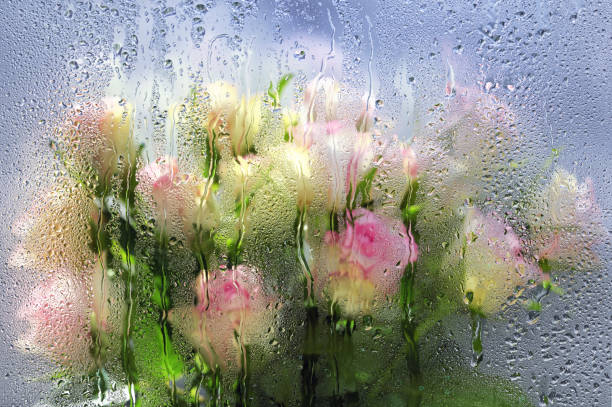 istock Blurred roses behind of a window with water drops 1209026466