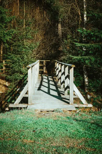 little wooden bridge in a forest in the sunlight