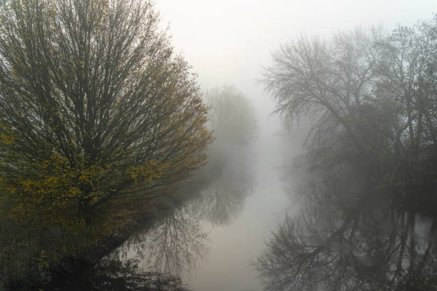 istock Sycamore trees at river in the fog 1209029235