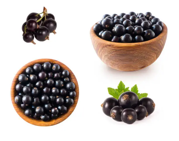 Black berries on white. Blackcurrants in a wooden bowl isolated on white background. Blackcurrant isolate. Blackcurrants isolated on white background. Top view. Berries from different angles on white.