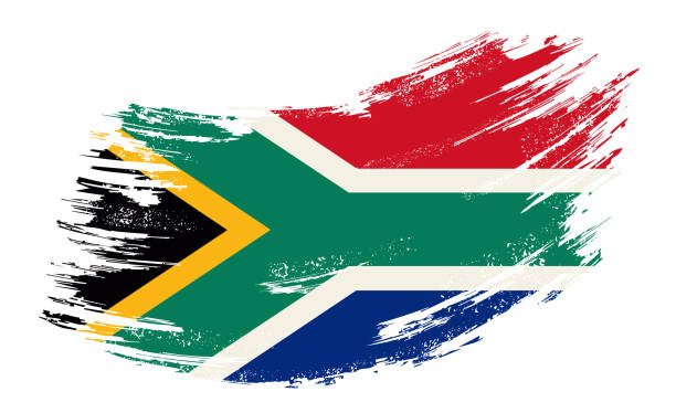 südafrikanische flagge grunge pinsel hintergrund. vektor-illustration. - south africa flag africa south african flag stock-grafiken, -clipart, -cartoons und -symbole