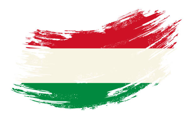 illustrazioni stock, clip art, cartoni animati e icone di tendenza di sfondo pennello grunge bandiera ungherese. illustrazione vettoriale. - hungary flag banner dirty