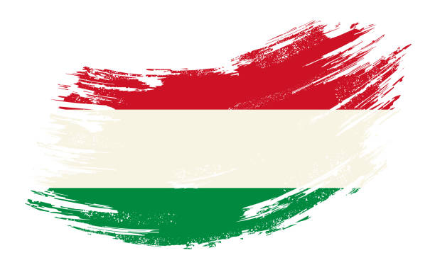 ilustrações, clipart, desenhos animados e ícones de fundo de escova grunge de bandeira húngara. ilustração vetorial. - hungary flag banner dirty