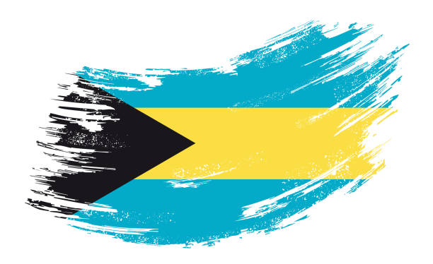 illustrations, cliparts, dessins animés et icônes de fond de brosse grunge de drapeau des bahamas. illustration de vecteur. - bahamian flag