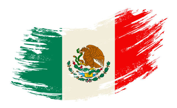 ilustraciones, imágenes clip art, dibujos animados e iconos de stock de bandera mexicana grunge pincel de fondo. ilustración vectorial. - bandera mexicana