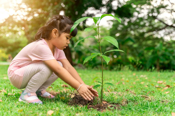 istock little girl planting a tree 1209033645