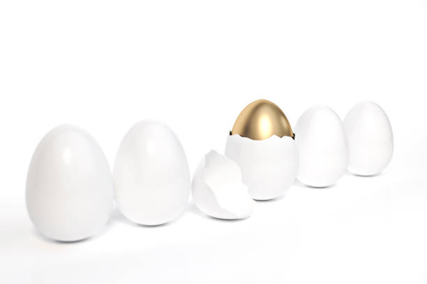 깨진 껍질과 계란 내부 뛰어난 황금 부활절 달걀 흰색 배경 스튜디오 3d 렌더링에 흰색 계란 소프트 포커스 중 하나입니다. 3d 일러스트 미니멀 스타일 달콤한 부활절 달걀 축제 개념입니다. - wealth eggs animal egg easter egg 뉴스 사진 이미지