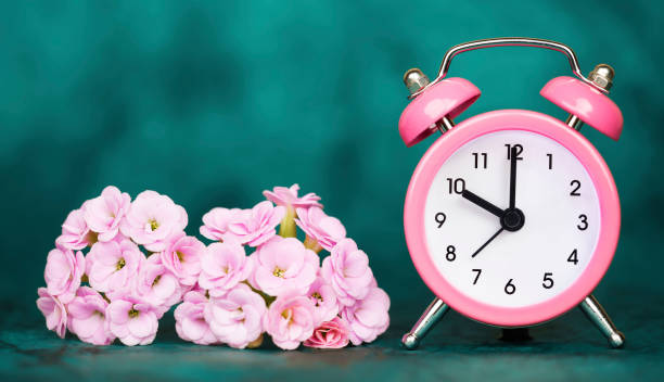 istock Alarm clock and flowers on blue background, spring, daylight savings time concept 1209036359