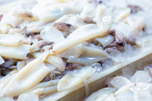 istock Frozen fresh squid close up on ice sell in market 1209036617