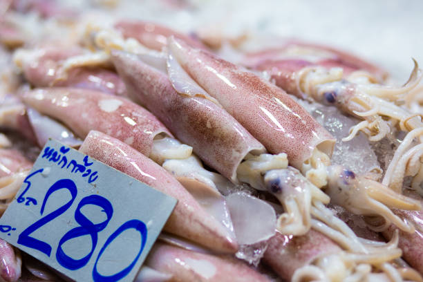 Frozen fresh squid close up on ice sell in market, Seafood