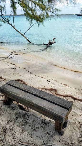 istock Wooden bench on white sand beach 1209036677