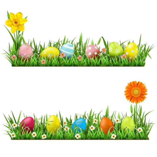 ilustrações de stock, clip art, desenhos animados e ícones de vector easter border with flowers - easter eggs red