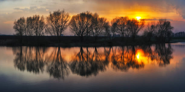 reflexion von bäumen im fluss. malerischer frühlingsmorgen - flux design stock-fotos und bilder