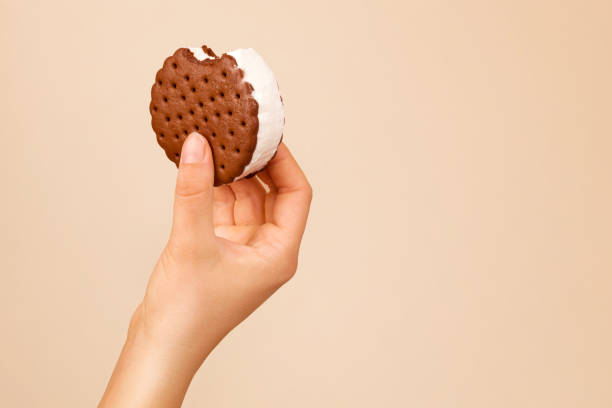 istock Delicious ice cream sandwich. 1209042989