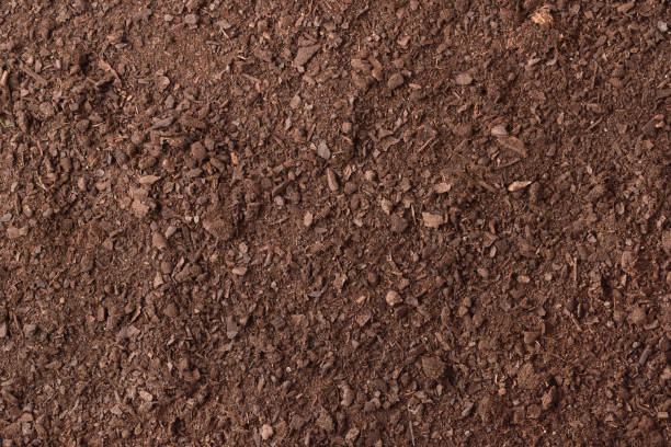 istock Soil texture detail for gardening top 1209045205