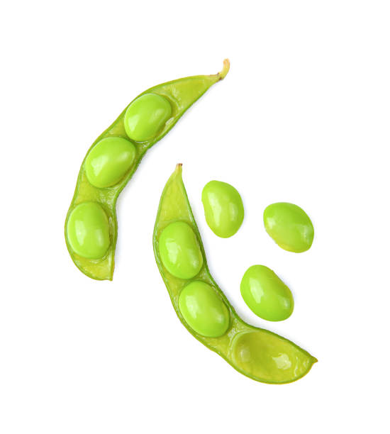 green soy bean on white background - edamame imagens e fotografias de stock