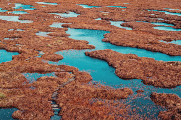 Flow Country peat bogs at Forsinard, Scotland