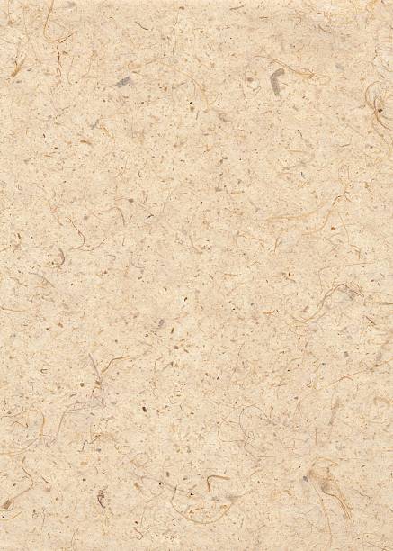 istock Texture - Paper wood natural 120904866